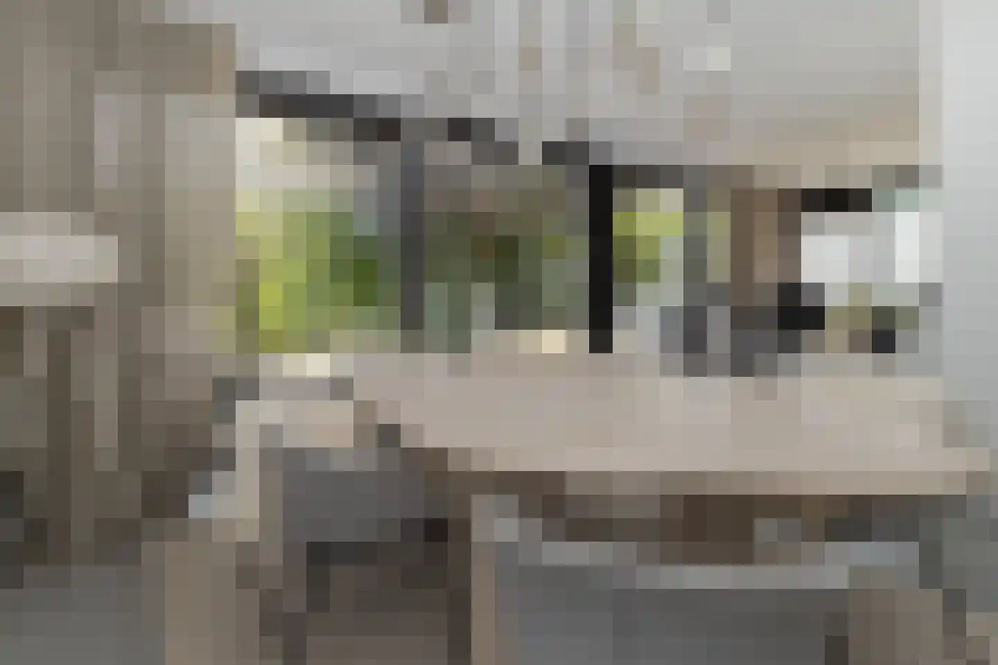 Alphons Laudijlaan 18 Sittard thumbnail 14