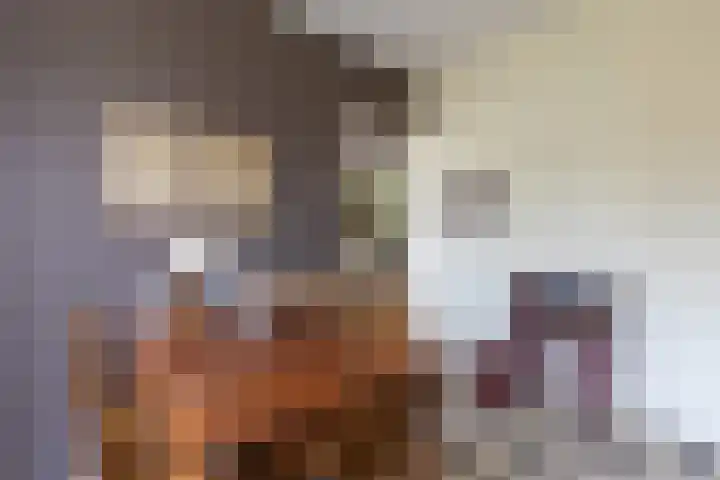 Alphons Laudijlaan 20 Sittard thumbnail 21