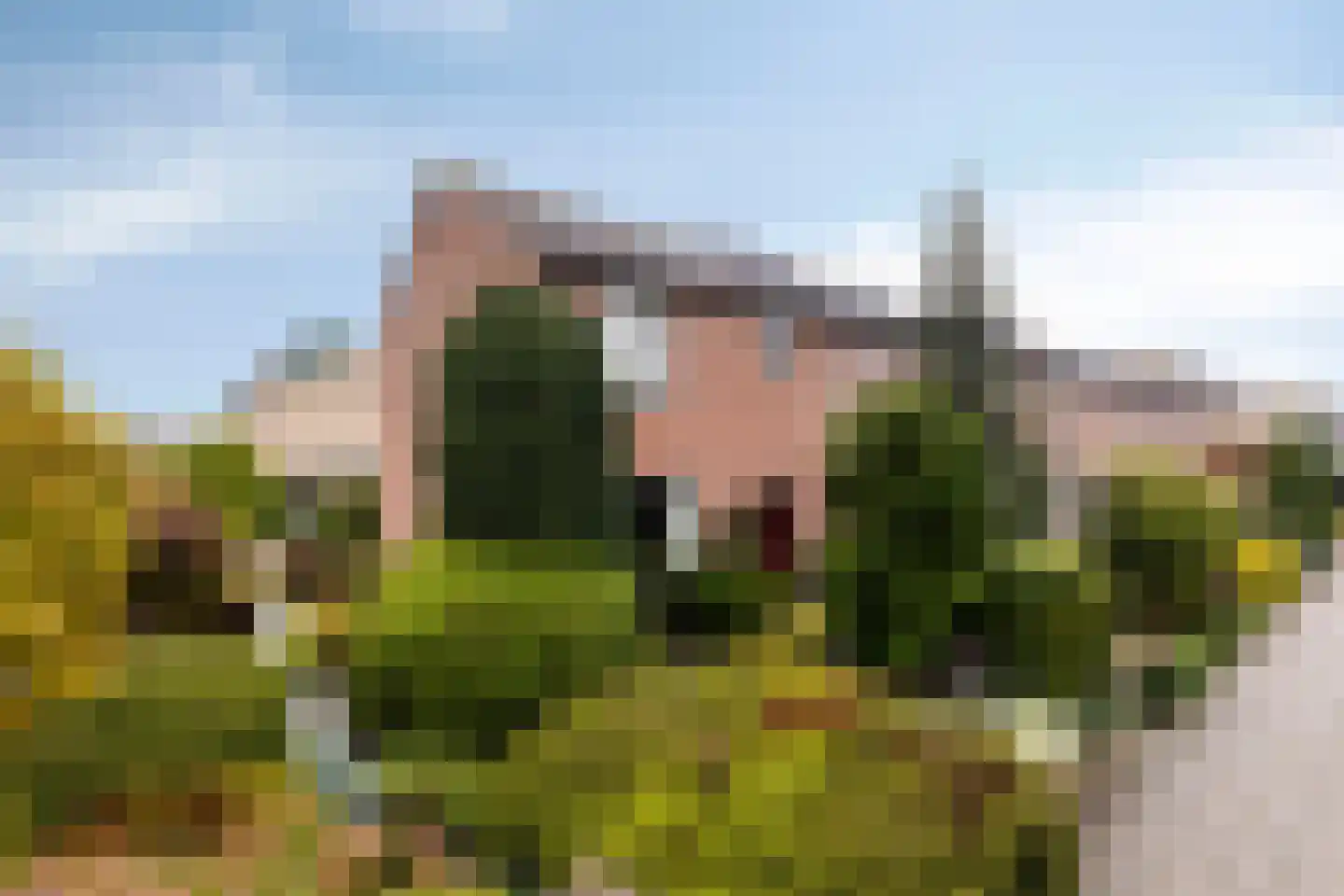 Alphons Mulderlaan 12 in Hooglanderveen