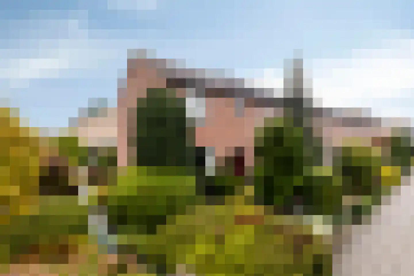 Alphons Mulderlaan 12 in Hooglanderveen