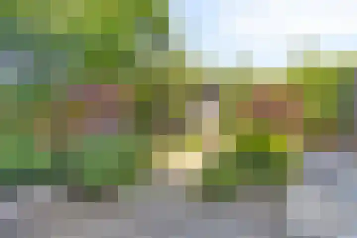 Alphons Sieberspad 28 Nijmegen thumbnail 34