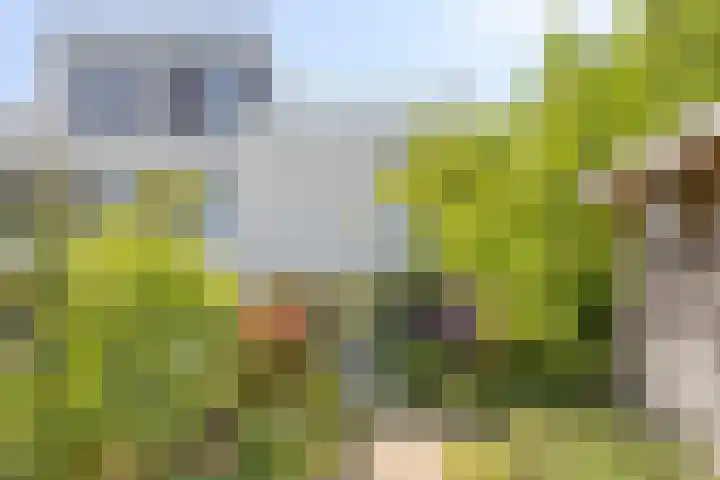 Alphons Sieberspad 28 Nijmegen thumbnail 37