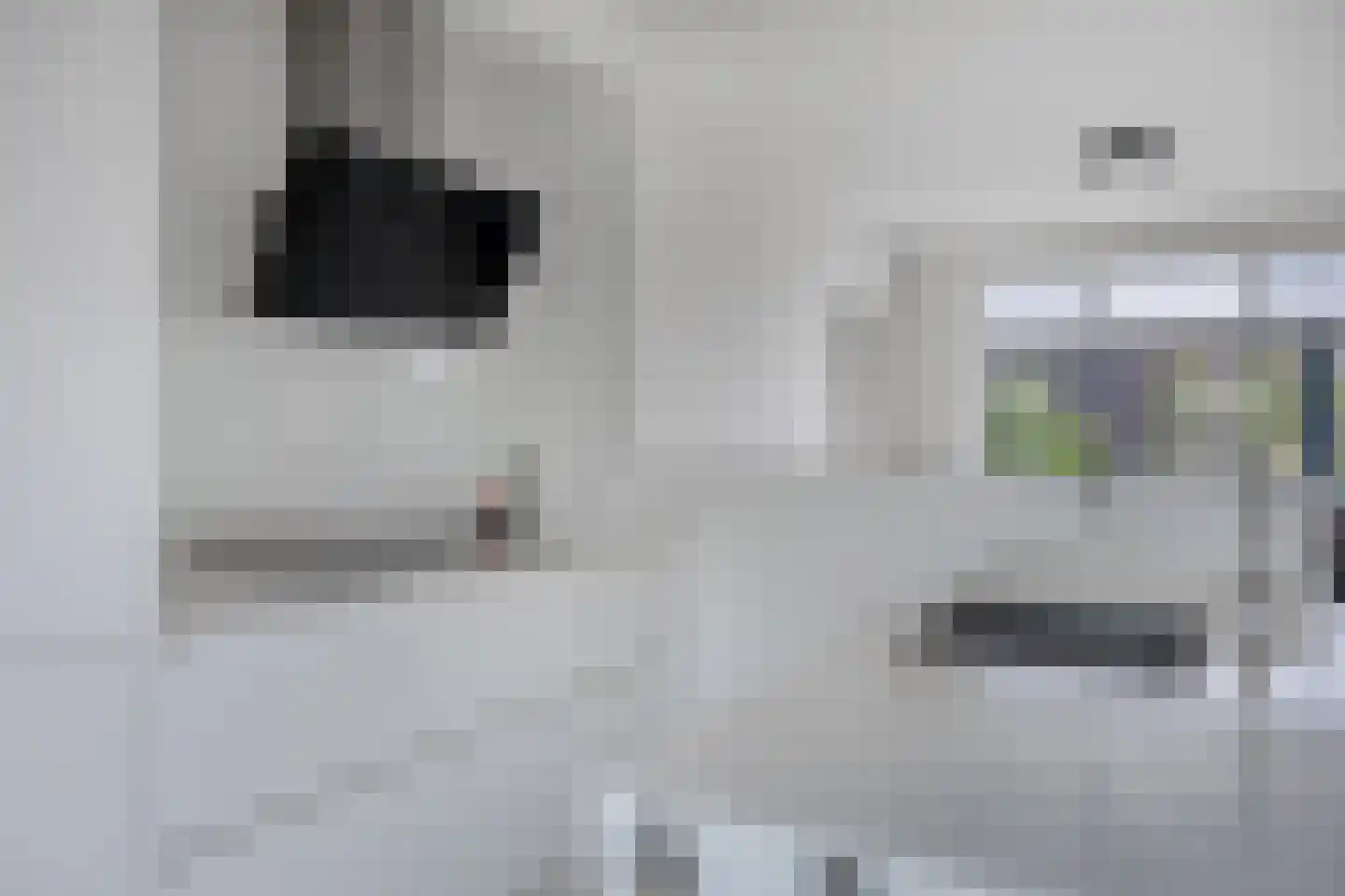 Alsacelaan 36 Eindhoven thumbnail 16
