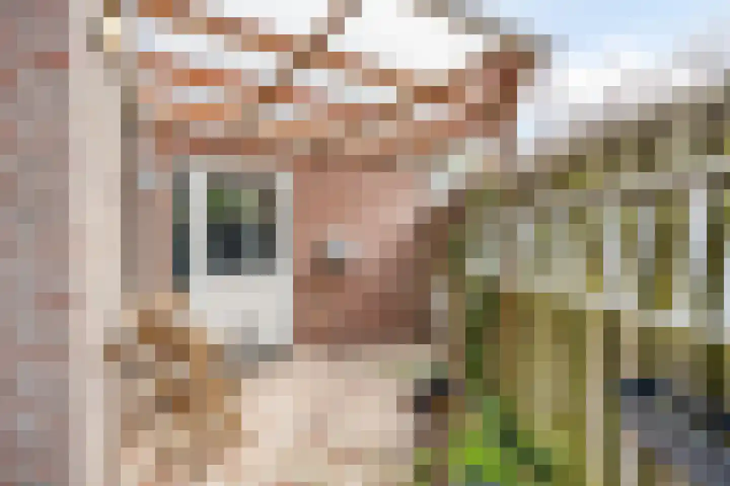 Alsacelaan 36 Eindhoven thumbnail 26
