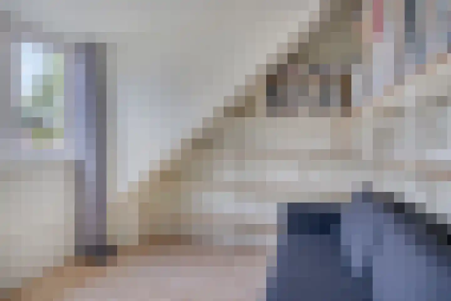 Alsacelaan 36 Eindhoven thumbnail 31