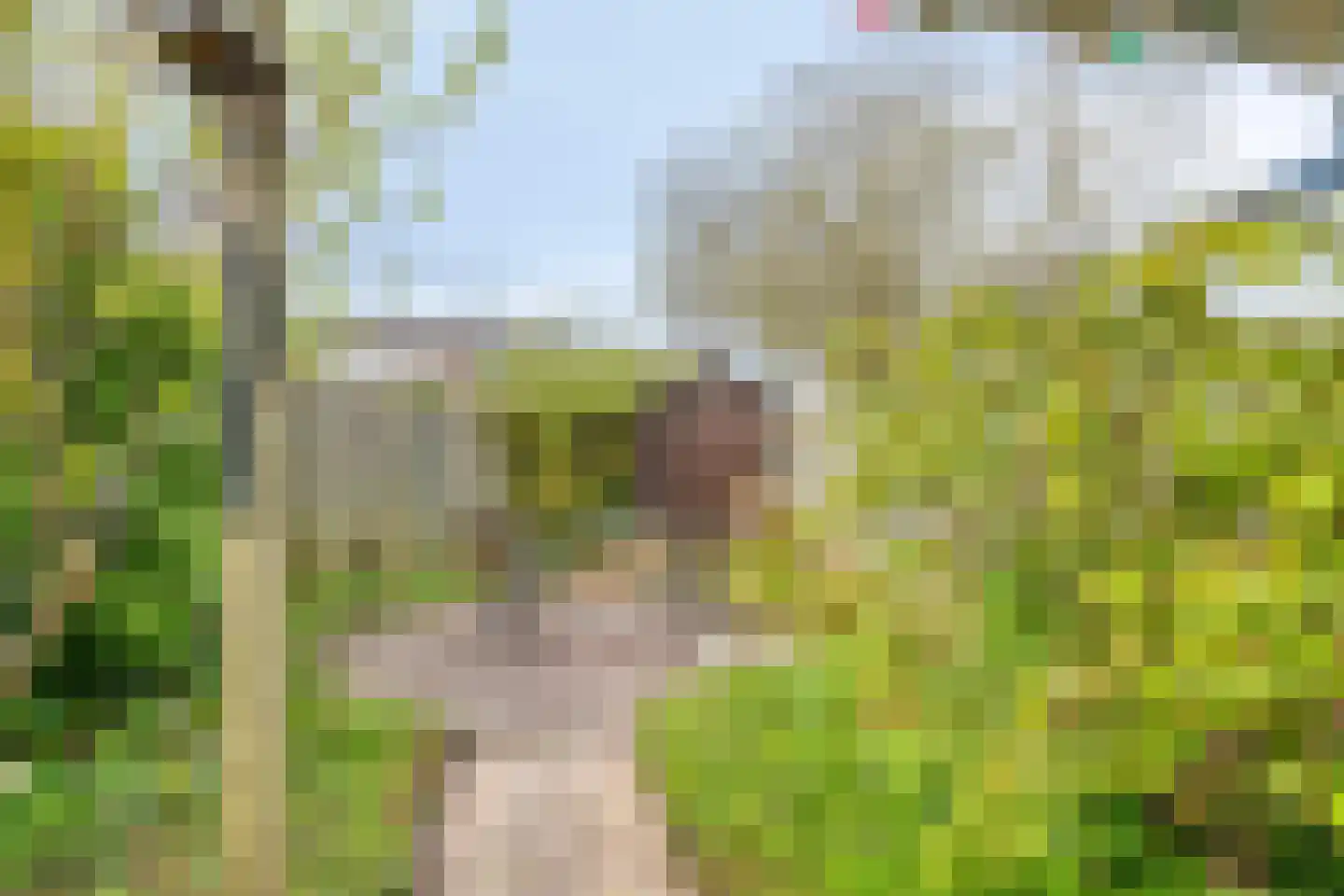 Alsacelaan 36 Eindhoven thumbnail 37