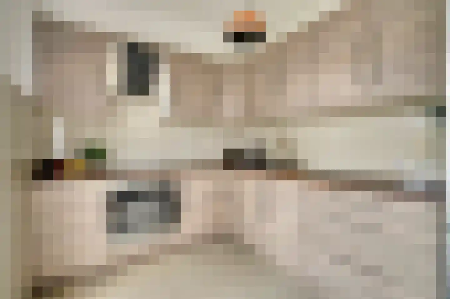 Alsacelaan 41 Eindhoven thumbnail 10