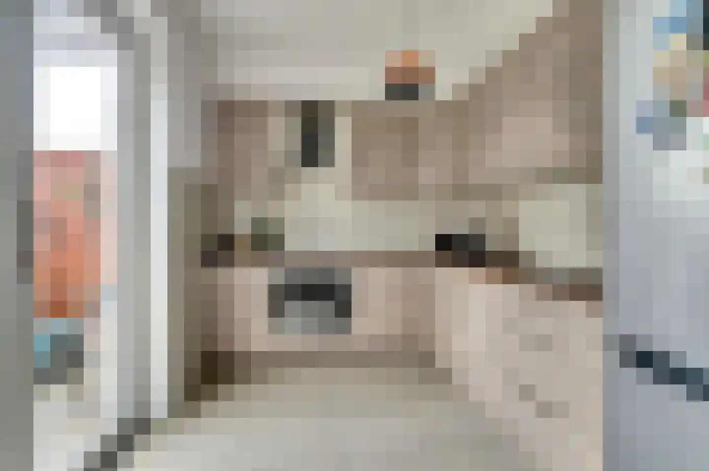 Alsacelaan 41 Eindhoven thumbnail 11