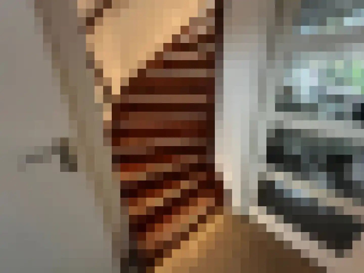 Alsacelaan 41 Eindhoven thumbnail 16