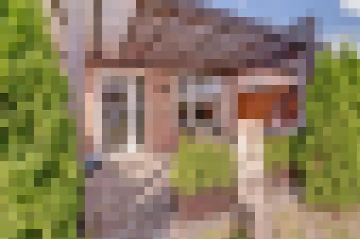 Alsacelaan 41 Eindhoven thumbnail 30