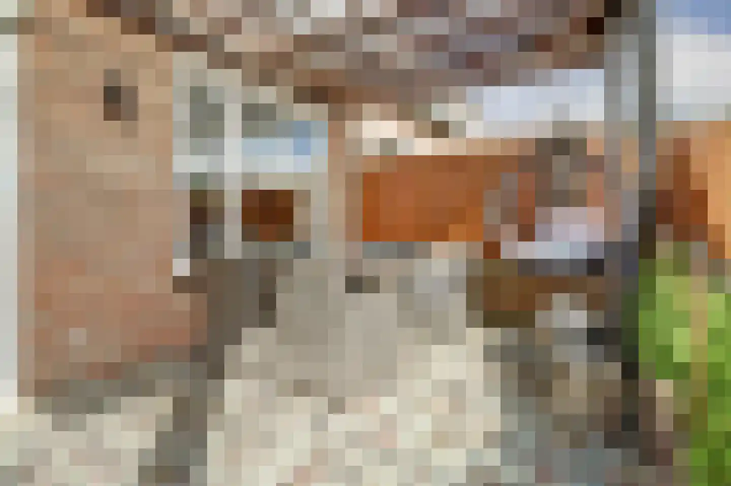 Alsacelaan 41 Eindhoven thumbnail 33