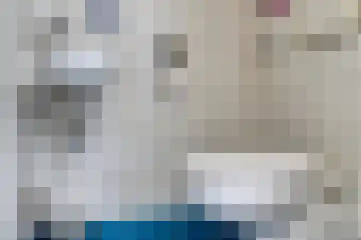 Alsacelaan 8 Eindhoven thumbnail 10