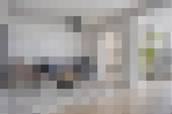 Alsacelaan 8 Eindhoven thumbnail 11