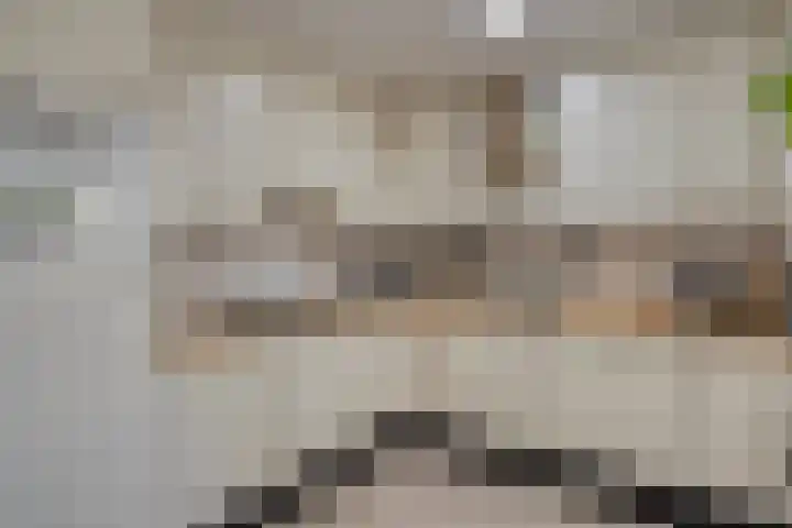 Alsacelaan 8 Eindhoven thumbnail 14