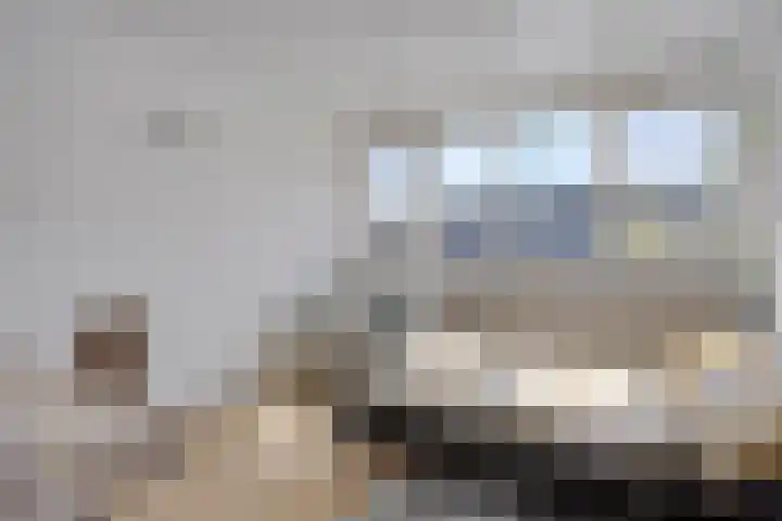 Alsacelaan 8 Eindhoven thumbnail 17