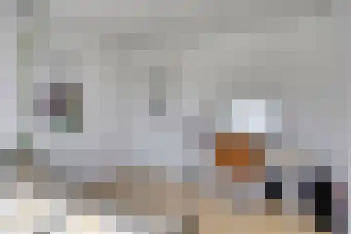 Alsacelaan 8 Eindhoven thumbnail 18