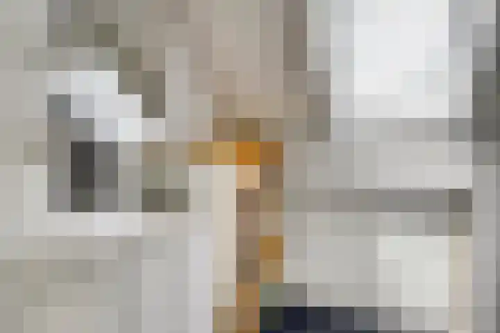 Alsacelaan 8 Eindhoven thumbnail 19