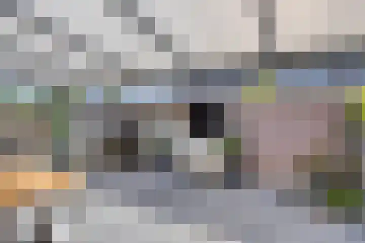 Alsacelaan 8 Eindhoven thumbnail 22