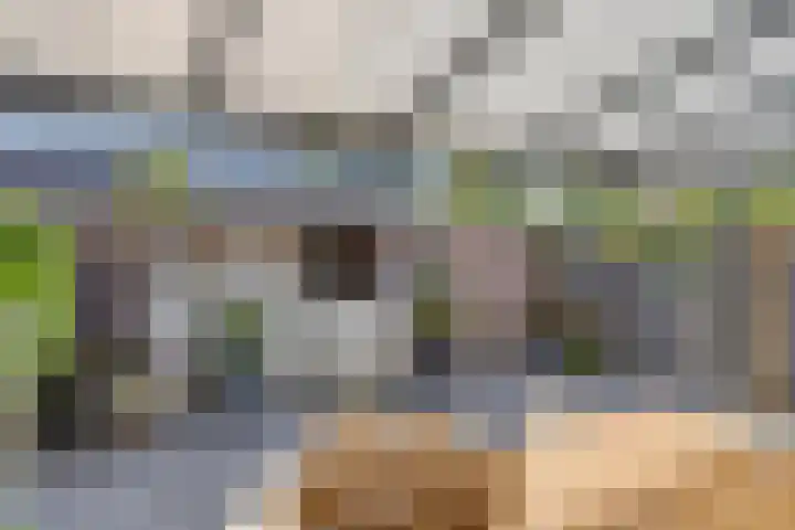 Alsacelaan 8 Eindhoven thumbnail 23