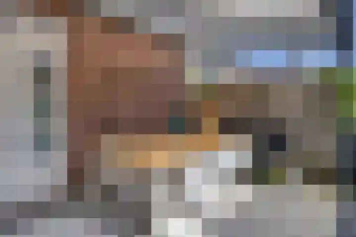 Alsacelaan 8 Eindhoven thumbnail 24