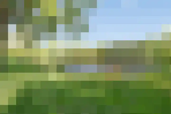 Alsacelaan 8 Eindhoven thumbnail 27