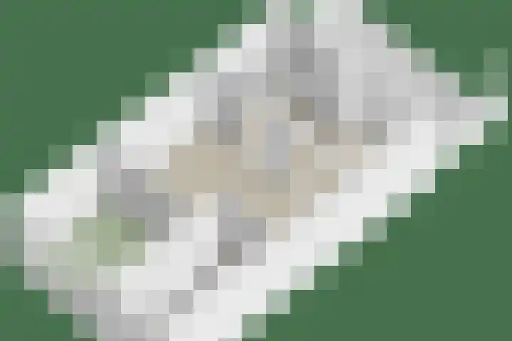 Alsacelaan 8 Eindhoven thumbnail 29