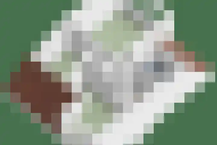 Alsacelaan 8 Eindhoven thumbnail 30