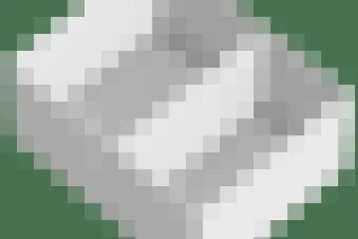 Alsacelaan 8 Eindhoven thumbnail 32