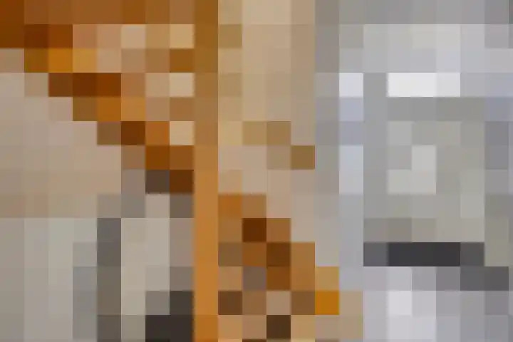 Alsacelaan 8 Eindhoven thumbnail 8