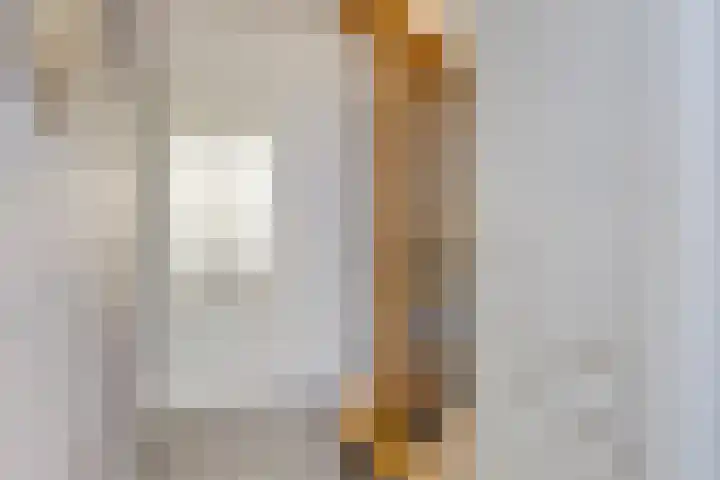 Alsacelaan 8 Eindhoven thumbnail 9