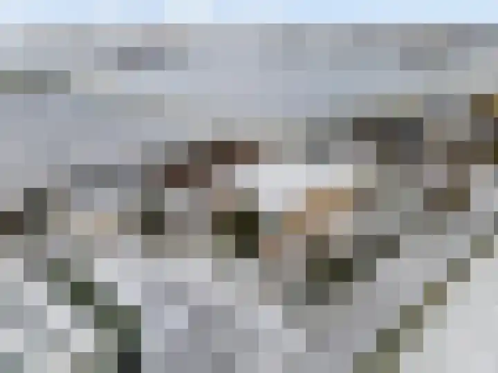 Alsemgeestlaan 7 en 's-Gravenzande