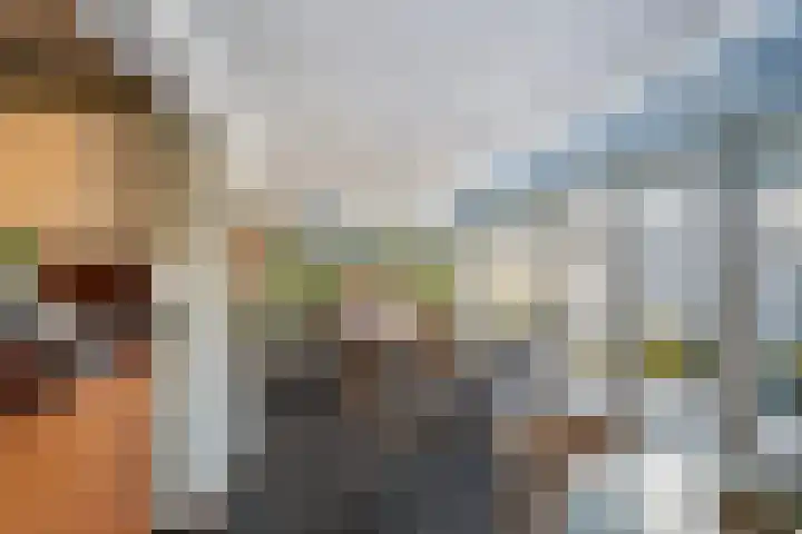 Alsemgeestlaan 7 's-Gravenzande thumbnail 10