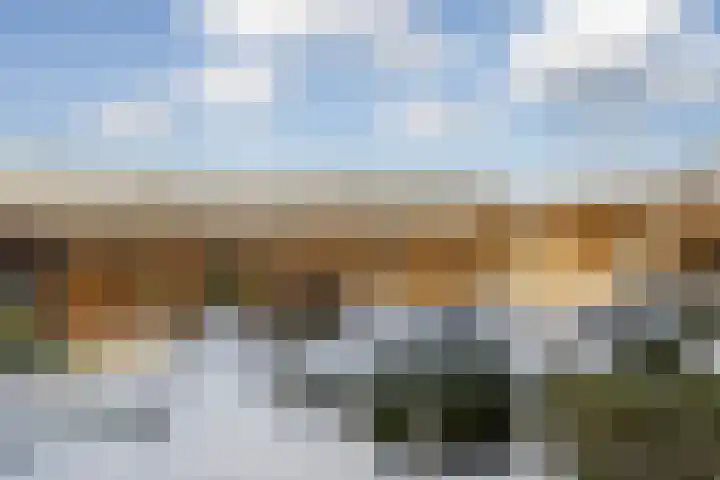 Alsemgeestlaan 7 's-Gravenzande thumbnail 14