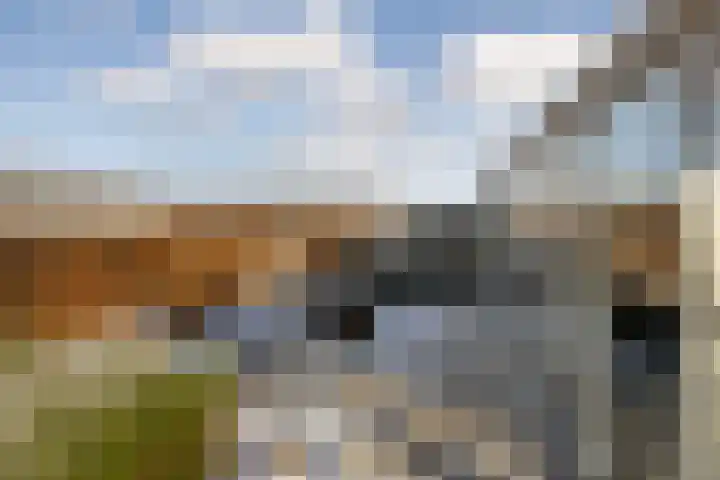 Alsemgeestlaan 7 's-Gravenzande thumbnail 17