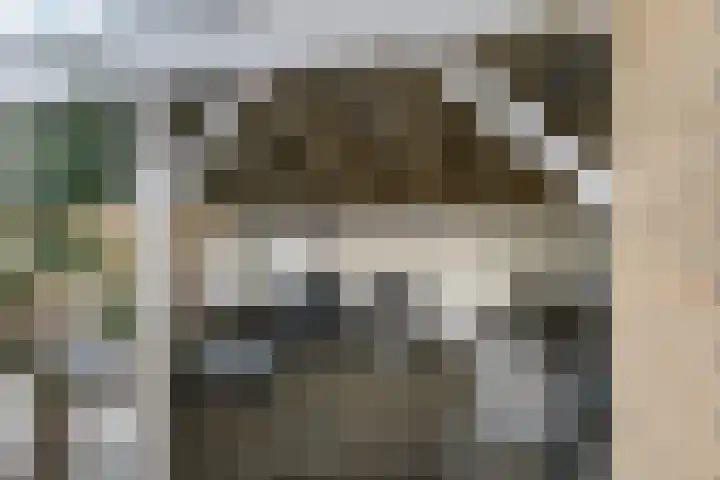 Alsemgeestlaan 7 's-Gravenzande thumbnail 19