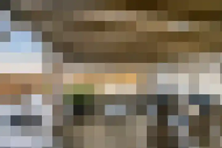 Alsemgeestlaan 7 's-Gravenzande thumbnail 20