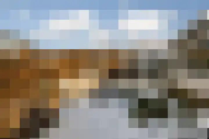 Alsemgeestlaan 7 's-Gravenzande thumbnail 21