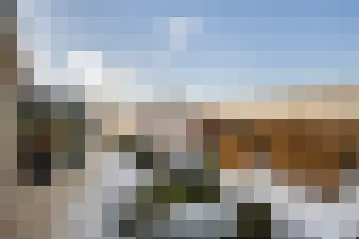 Alsemgeestlaan 7 's-Gravenzande thumbnail 22