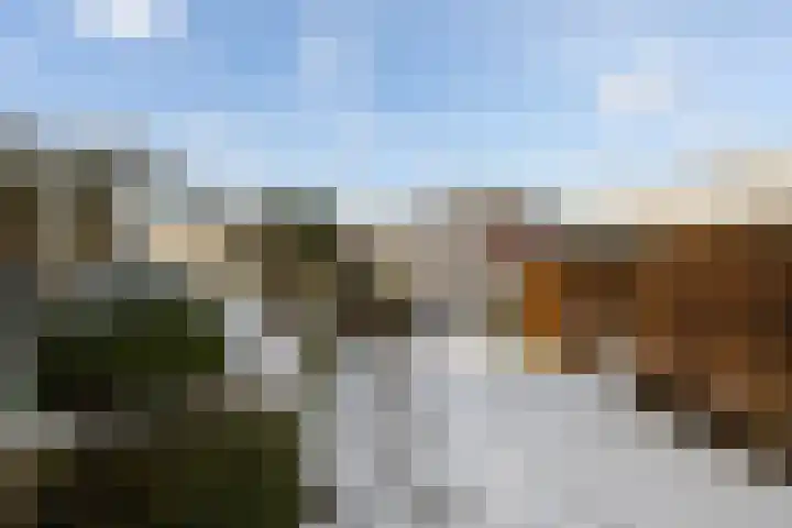 Alsemgeestlaan 7 's-Gravenzande thumbnail 23