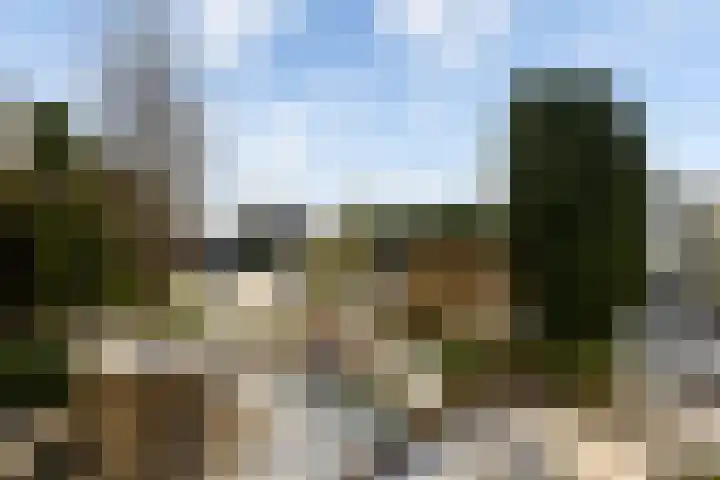 Alsemgeestlaan 7 's-Gravenzande thumbnail 24