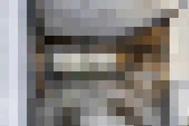 Alsemgeestlaan 7 's-Gravenzande thumbnail 25