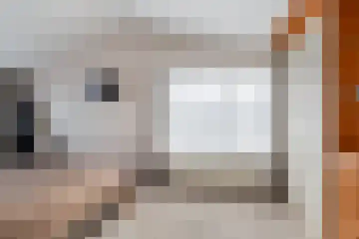 Alsemgeestlaan 7 's-Gravenzande thumbnail 31