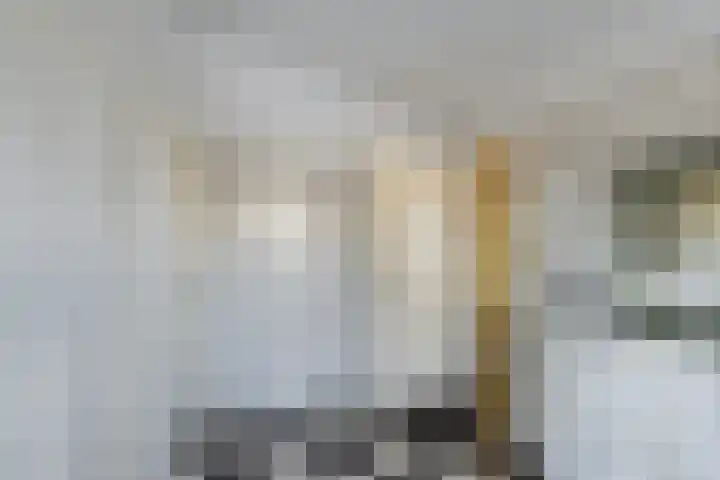 Alsemgeestlaan 7 's-Gravenzande thumbnail 40