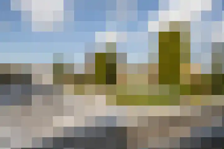 Alsemgeestlaan 7 's-Gravenzande thumbnail 41