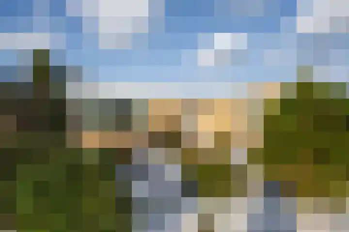 Alsemgeestlaan 7 's-Gravenzande thumbnail 42