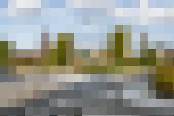 Alsemgeestlaan 7 's-Gravenzande thumbnail 44
