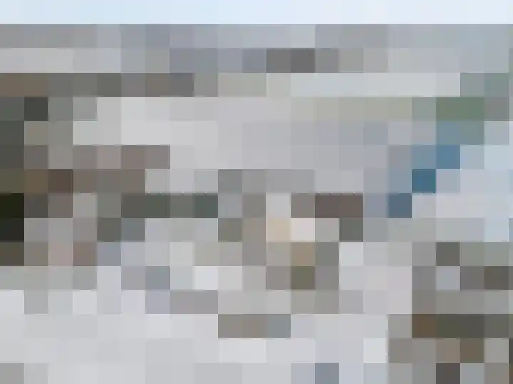 Alsemgeestlaan 7 's-Gravenzande thumbnail 45