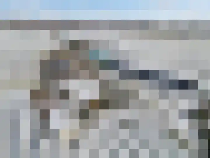 Alsemgeestlaan 7 's-Gravenzande thumbnail 47