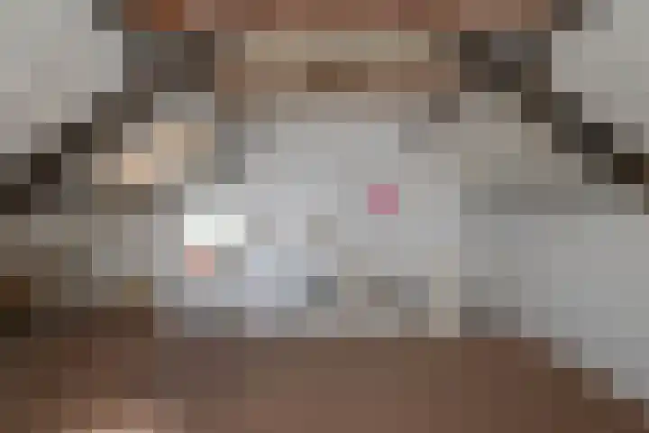 Alsemhof 11 Wierden thumbnail 18