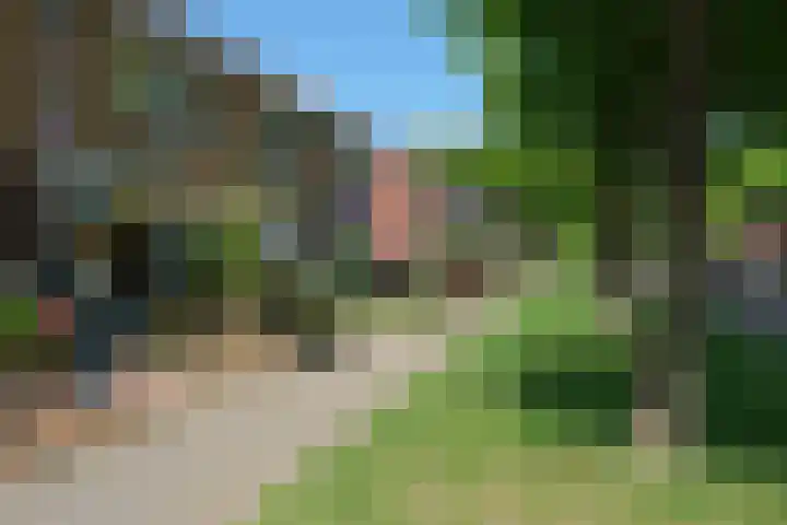 Alsemhof 11 Wierden thumbnail 27
